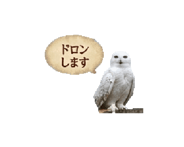 845259899