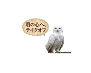845259904