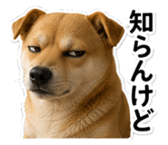 845260212