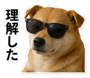 845260223
