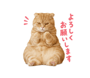 845260939