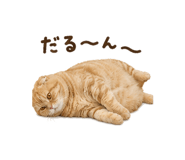 845260943