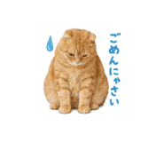845260949