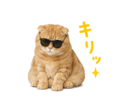 845260960