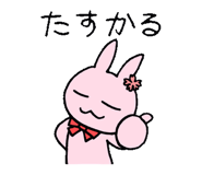 845261644
