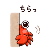 845262177