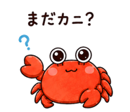845262178