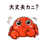 845262179