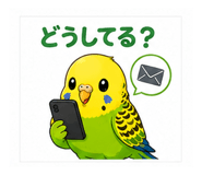 845262333