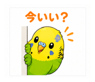 845262335