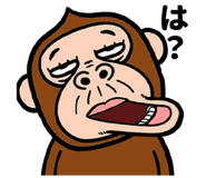 845262560