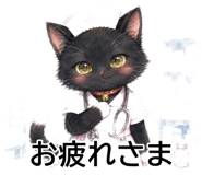 845262577