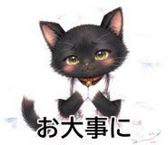 845262579