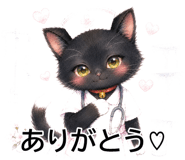 845262581
