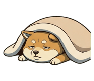 845262755