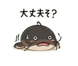 845263923