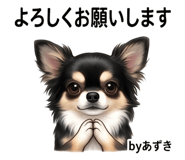 845264437