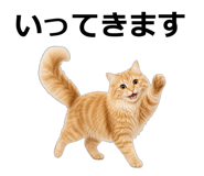 845265135