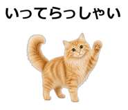 845265136