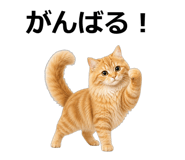 845265144