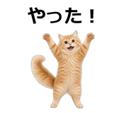 845265145
