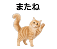 845265150