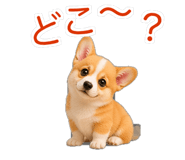 845265194