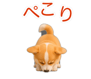 845265195