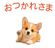 845265200