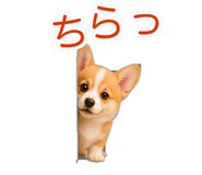 845265202