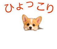 845265206