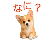 845265207