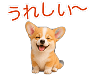 845265208
