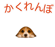 845265210