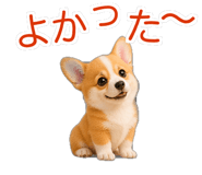 845265211