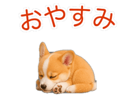 845265212