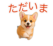 845265214