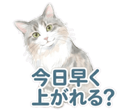 845265329