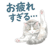 845265346