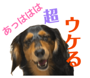 845265780