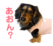 845265782