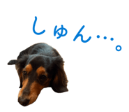 845265783