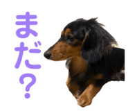 845265791