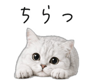 845265906