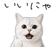 845265913