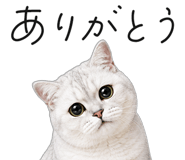 845265922