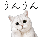 845265924