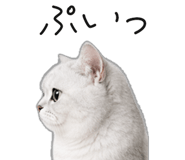 845265925