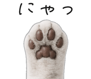 845265927
