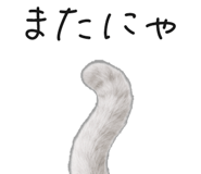 845265928